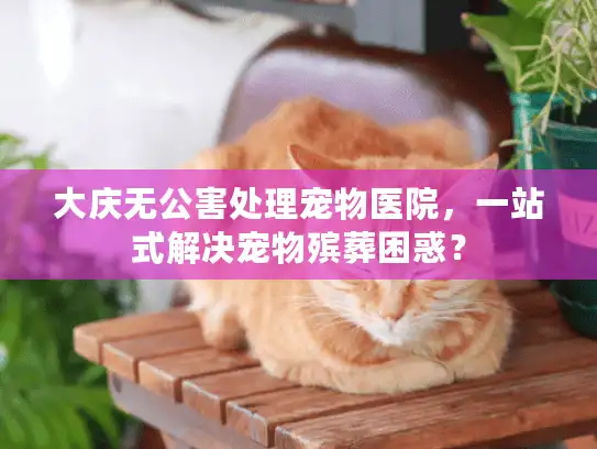 大庆无公害处理宠物医院，一站式解决宠物殡葬困惑？