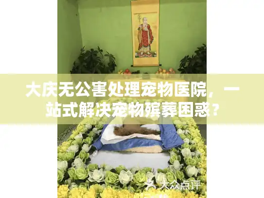 大庆无公害处理宠物医院，一站式解决宠物殡葬困惑？