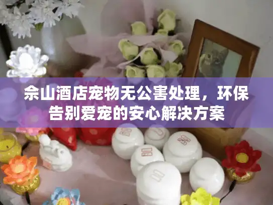 佘山酒店宠物无公害处理，环保告别爱宠的安心解决方案