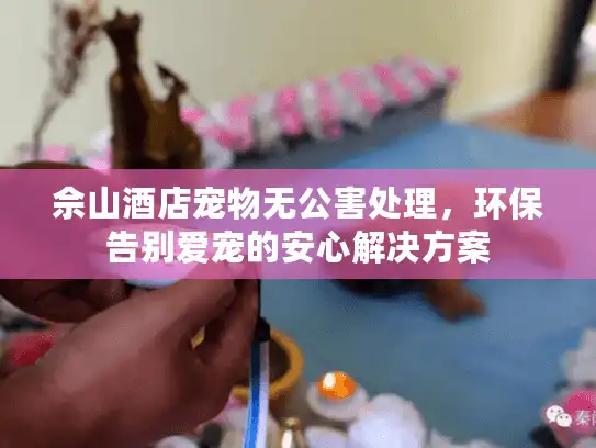 佘山酒店宠物无公害处理，环保告别爱宠的安心解决方案