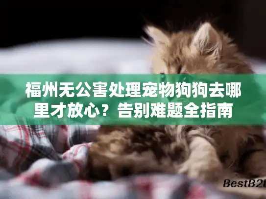福州无公害处理宠物狗狗去哪里才放心？告别难题全指南