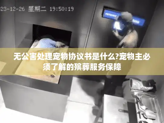 无公害处理宠物协议书是什么?宠物主必须了解的殡葬服务保障