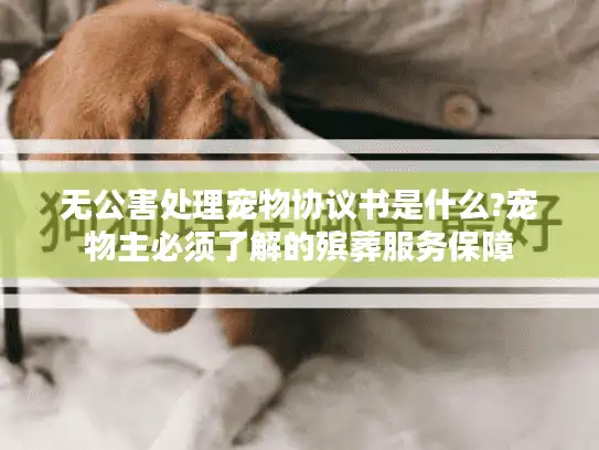 无公害处理宠物协议书是什么?宠物主必须了解的殡葬服务保障