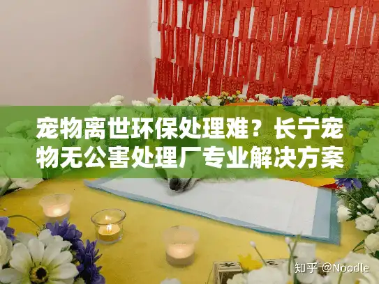 宠物离世环保处理难？长宁宠物无公害处理厂专业解决方案