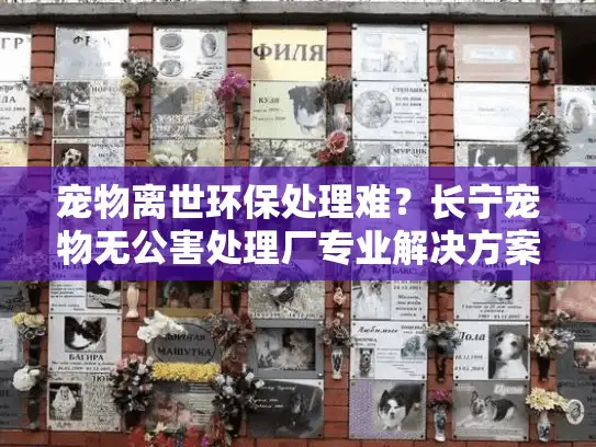 宠物离世环保处理难？长宁宠物无公害处理厂专业解决方案