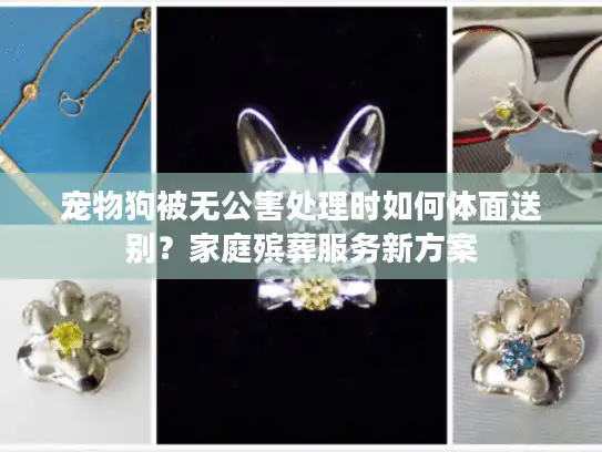 宠物狗被无公害处理时如何体面送别？家庭殡葬服务新方案