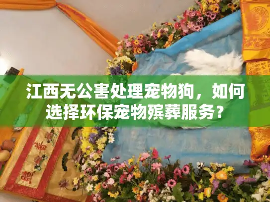 江西无公害处理宠物狗，如何选择环保宠物殡葬服务？