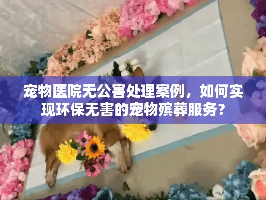 宠物医院无公害处理案例，如何实现环保无害的宠物殡葬服务？