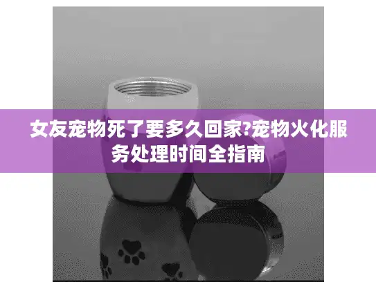 女友宠物死了要多久回家?宠物火化服务处理时间全指南