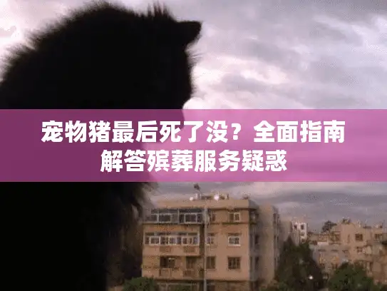 宠物猪最后死了没？全面指南解答殡葬服务疑惑