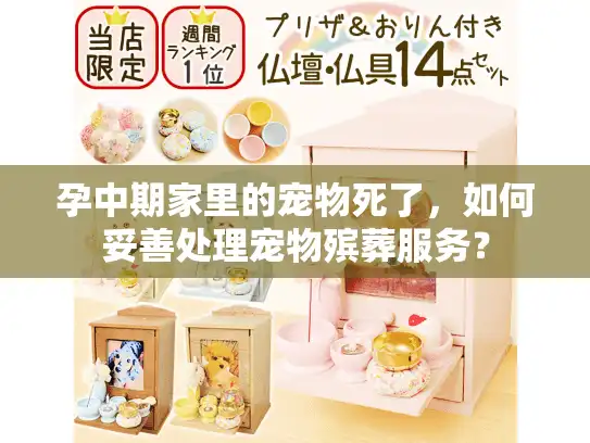 孕中期家里的宠物死了，如何妥善处理宠物殡葬服务？