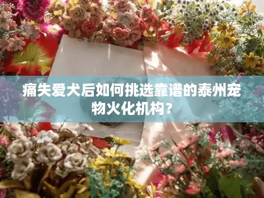 痛失爱犬后如何挑选靠谱的泰州宠物火化机构？
