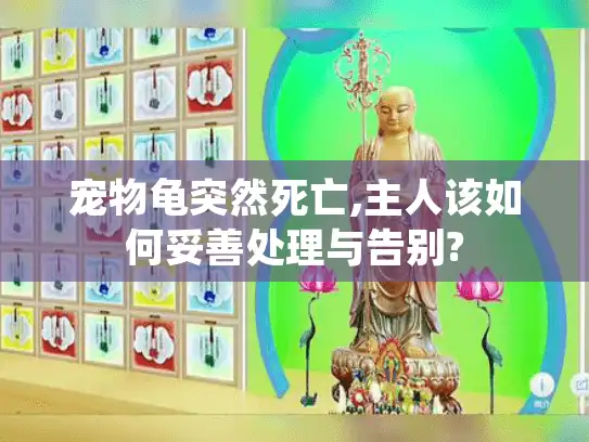 宠物龟突然死亡,主人该如何妥善处理与告别?