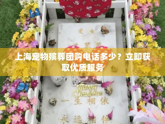 上海宠物殡葬团购电话多少？立即获取优质服务