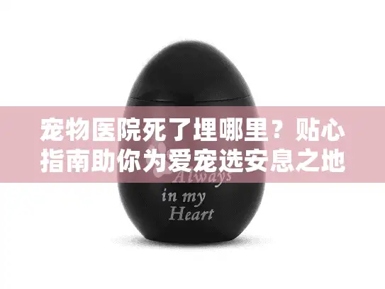 宠物医院死了埋哪里？贴心指南助你为爱宠选安息之地