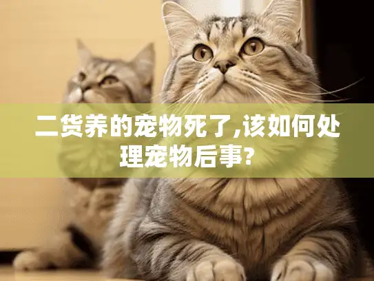 二货养的宠物死了,该如何处理宠物后事?