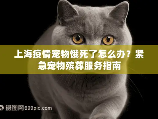 上海疫情宠物饿死了怎么办？紧急宠物殡葬服务指南