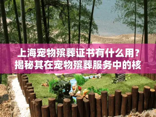 上海宠物殡葬证书有什么用？揭秘其在宠物殡葬服务中的核心价值