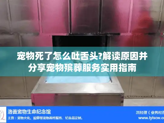 宠物死了怎么吐舌头?解读原因并分享宠物殡葬服务实用指南