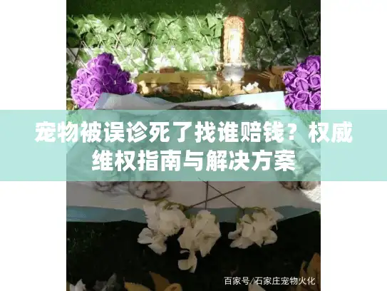 宠物被误诊死了找谁赔钱？权威维权指南与解决方案