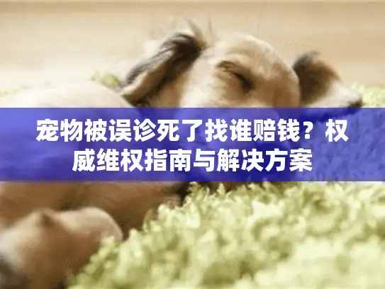 宠物被误诊死了找谁赔钱？权威维权指南与解决方案