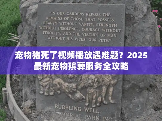 宠物猪死了视频播放遇难题？2025最新宠物殡葬服务全攻略