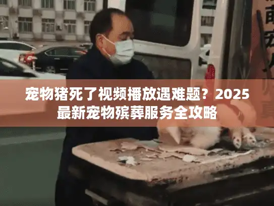 宠物猪死了视频播放遇难题？2025最新宠物殡葬服务全攻略