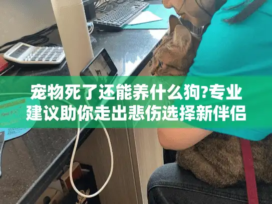 宠物死了还能养什么狗?专业建议助你走出悲伤选择新伴侣