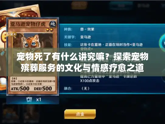 宠物死了有什么讲究嘛？探索宠物殡葬服务的文化与情感疗愈之道