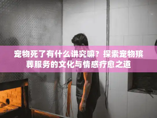 宠物死了有什么讲究嘛？探索宠物殡葬服务的文化与情感疗愈之道