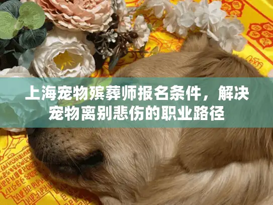 上海宠物殡葬师报名条件，解决宠物离别悲伤的职业路径
