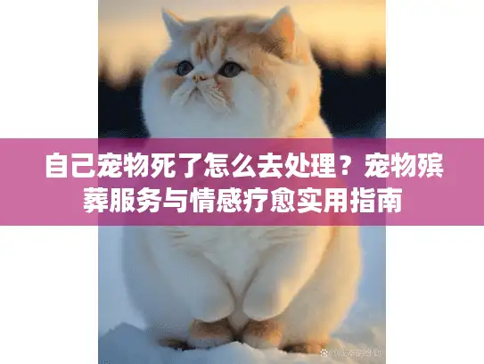 自己宠物死了怎么去处理？宠物殡葬服务与情感疗愈实用指南