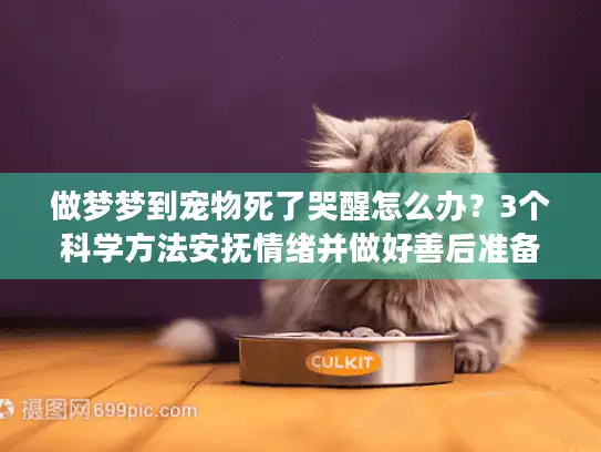 做梦梦到宠物死了哭醒怎么办？3个科学方法安抚情绪并做好善后准备