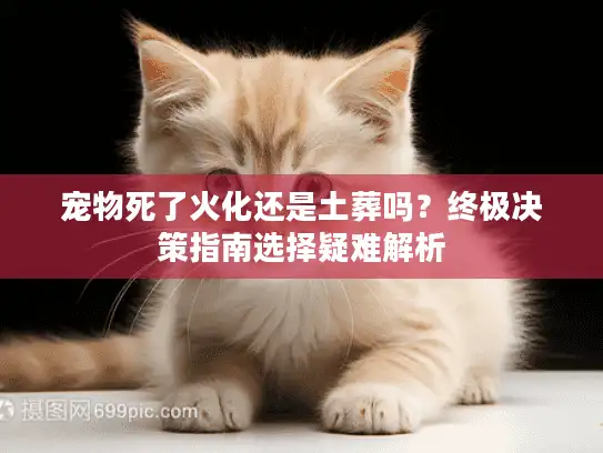 宠物死了火化还是土葬吗？终极决策指南选择疑难解析