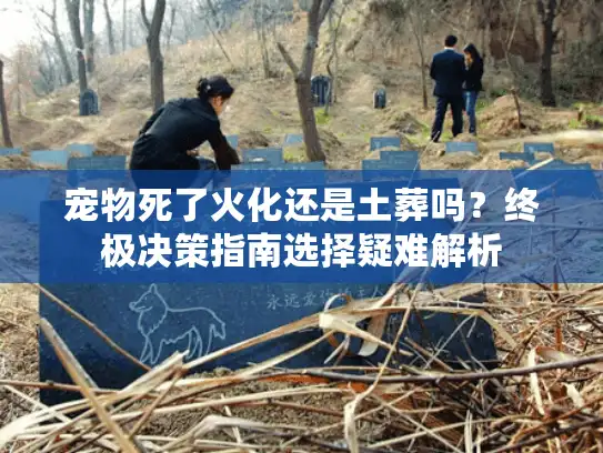 宠物死了火化还是土葬吗？终极决策指南选择疑难解析