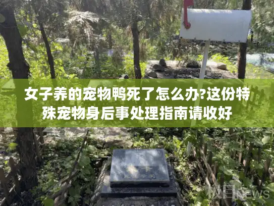 女子养的宠物鸭死了怎么办?这份特殊宠物身后事处理指南请收好