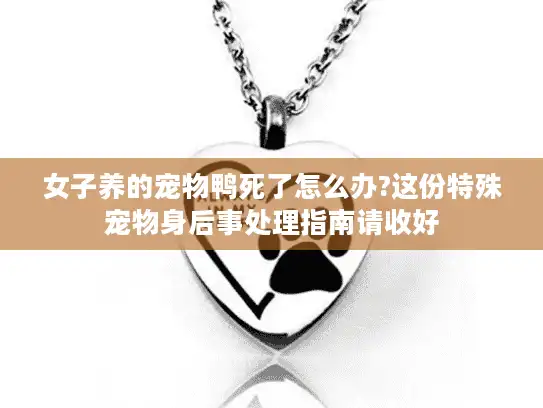 女子养的宠物鸭死了怎么办?这份特殊宠物身后事处理指南请收好