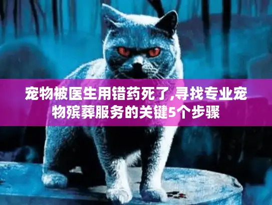 宠物被医生用错药死了,寻找专业宠物殡葬服务的关键5个步骤