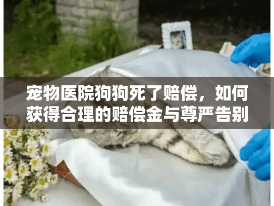 宠物医院狗狗死了赔偿，如何获得合理的赔偿金与尊严告别？