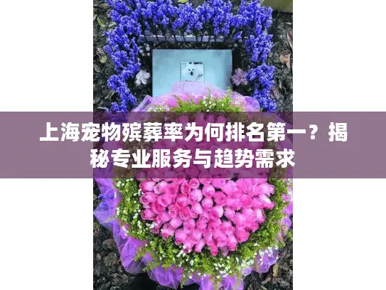上海宠物殡葬率为何排名第一？揭秘专业服务与趋势需求