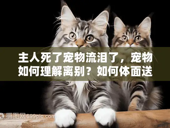 主人死了宠物流泪了，宠物如何理解离别？如何体面送别爱宠？