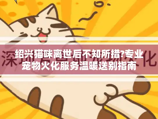 绍兴猫咪离世后不知所措?专业宠物火化服务温暖送别指南