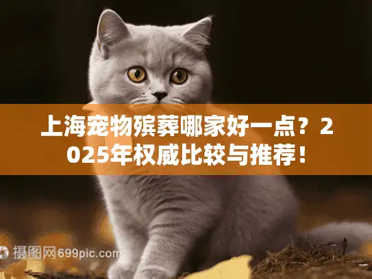 上海宠物殡葬哪家好一点？2025年权威比较与推荐！