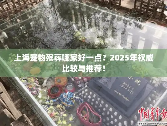 上海宠物殡葬哪家好一点？2025年权威比较与推荐！