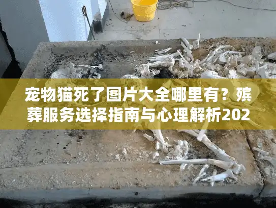 宠物猫死了图片大全哪里有？殡葬服务选择指南与心理解析2025