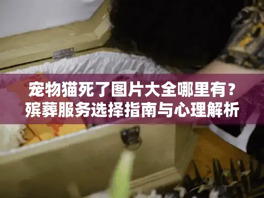 宠物猫死了图片大全哪里有？殡葬服务选择指南与心理解析2025