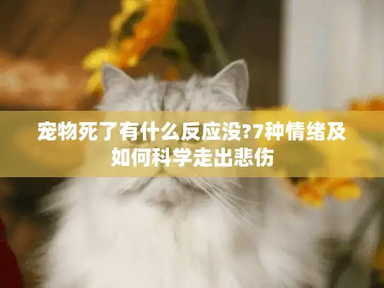 宠物死了有什么反应没?7种情绪及如何科学走出悲伤