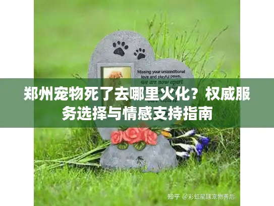 郑州宠物死了去哪里火化？权威服务选择与情感支持指南