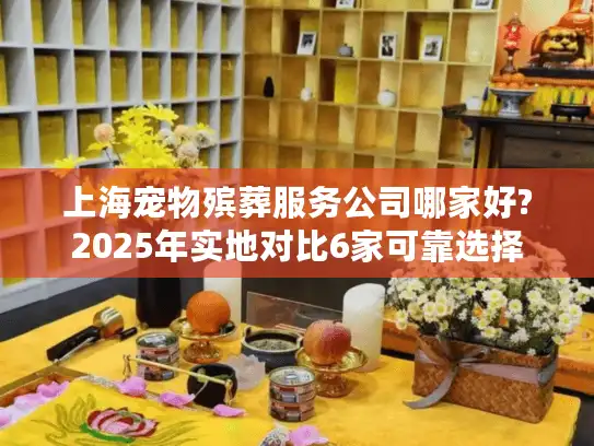 上海宠物殡葬服务公司哪家好?2025年实地对比6家可靠选择