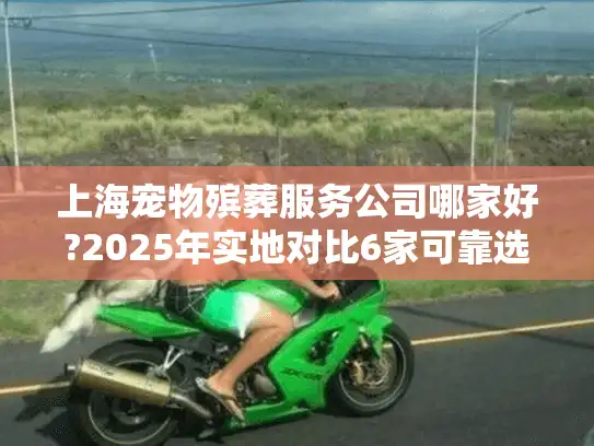 上海宠物殡葬服务公司哪家好?2025年实地对比6家可靠选择